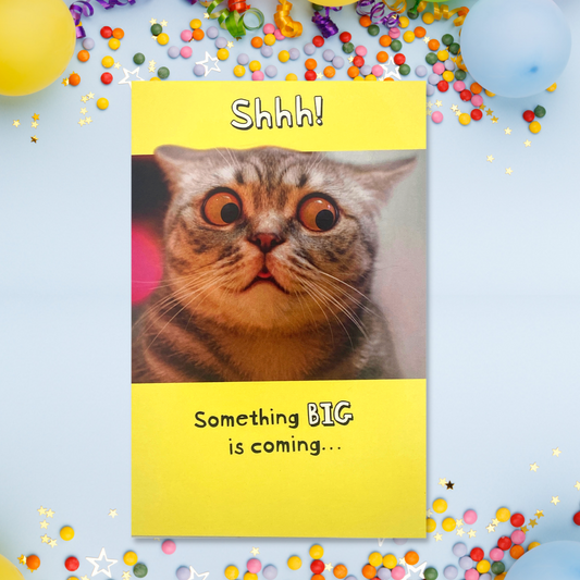 Cat Themed Funny Birthday Card Displayed In Full