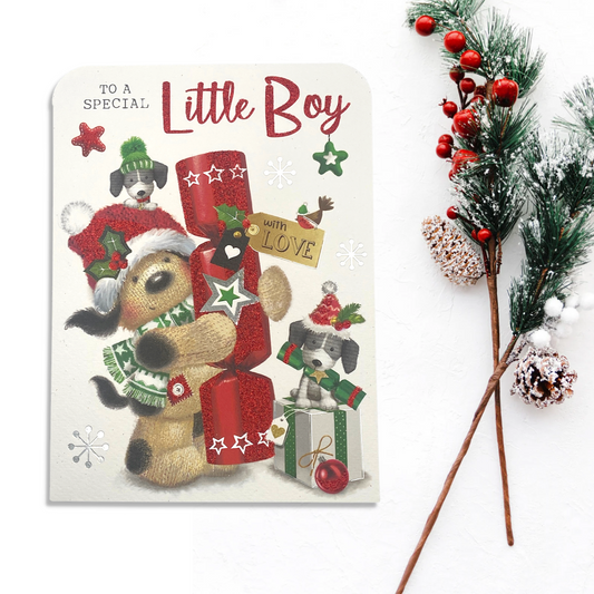 Special Little Boy Christmas - Fudge & Friends Card Front Image