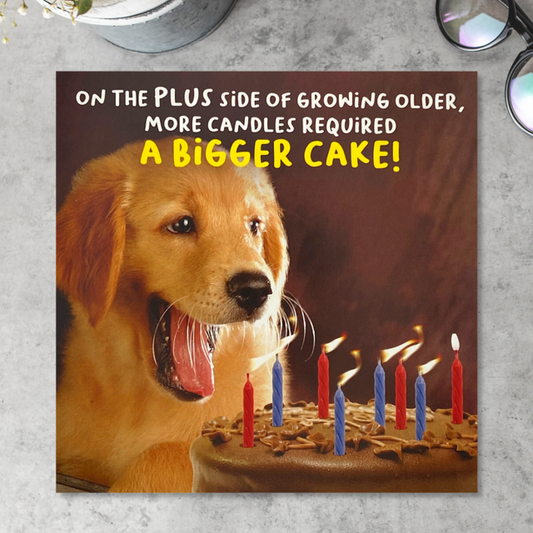 Virtual Safari - Bigger Cake Birthday Card Front Image