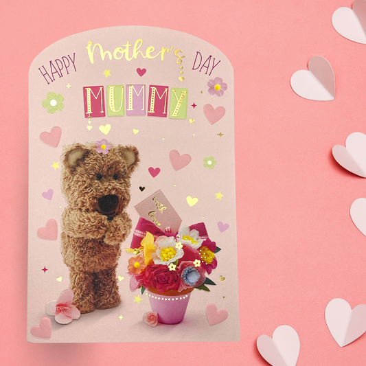 Mother's Day - Mummy Barley Bear Potted Flowers Front Image