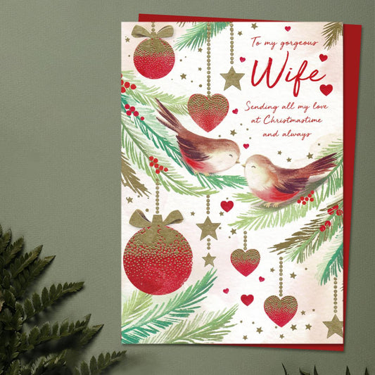 Gorgeous Wife Kissing Robins Card Front Image