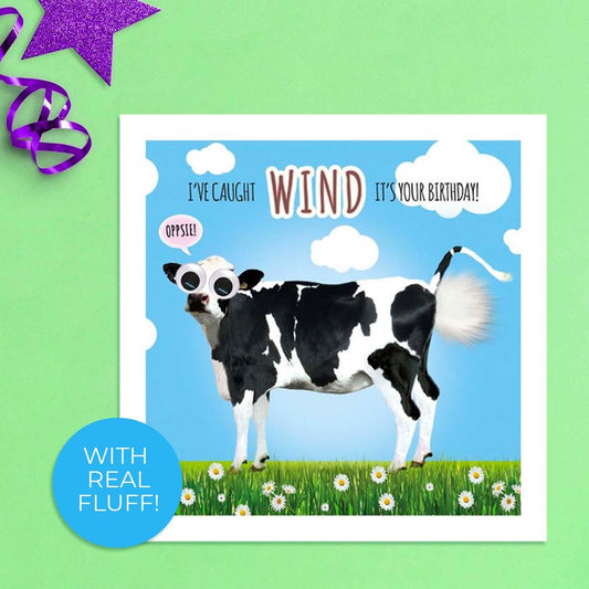 Fluff - Birthday Cow Card Front Image