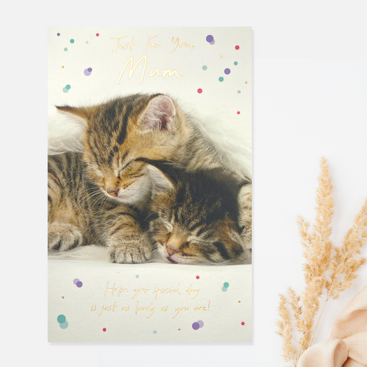 Just For You Mum - Birthday Kitten Card Front Image