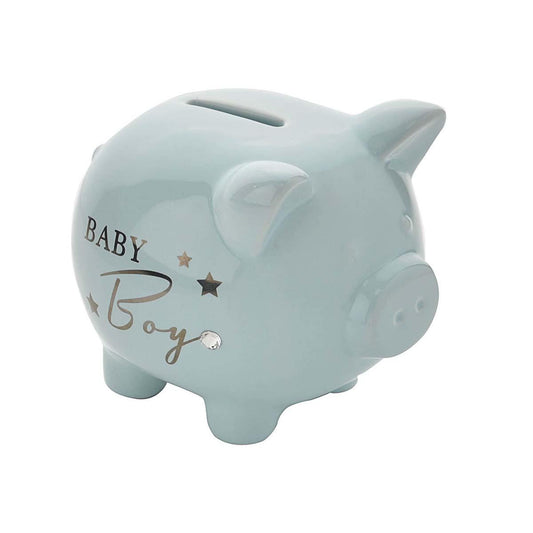 Blue Piggy Bank Shown Side On