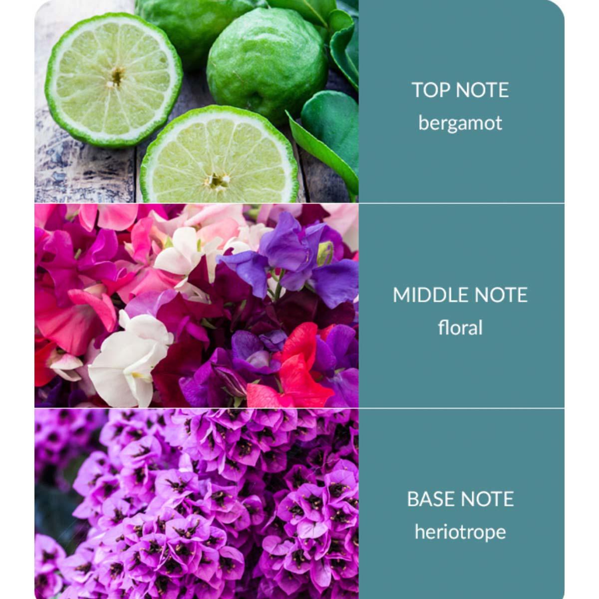 Fragrance Sheet Showing Ingredients List