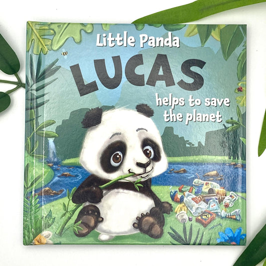 Lucas Personalised Storybook Displayed In Full